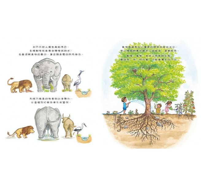 哇！「水」原來這麼重要！